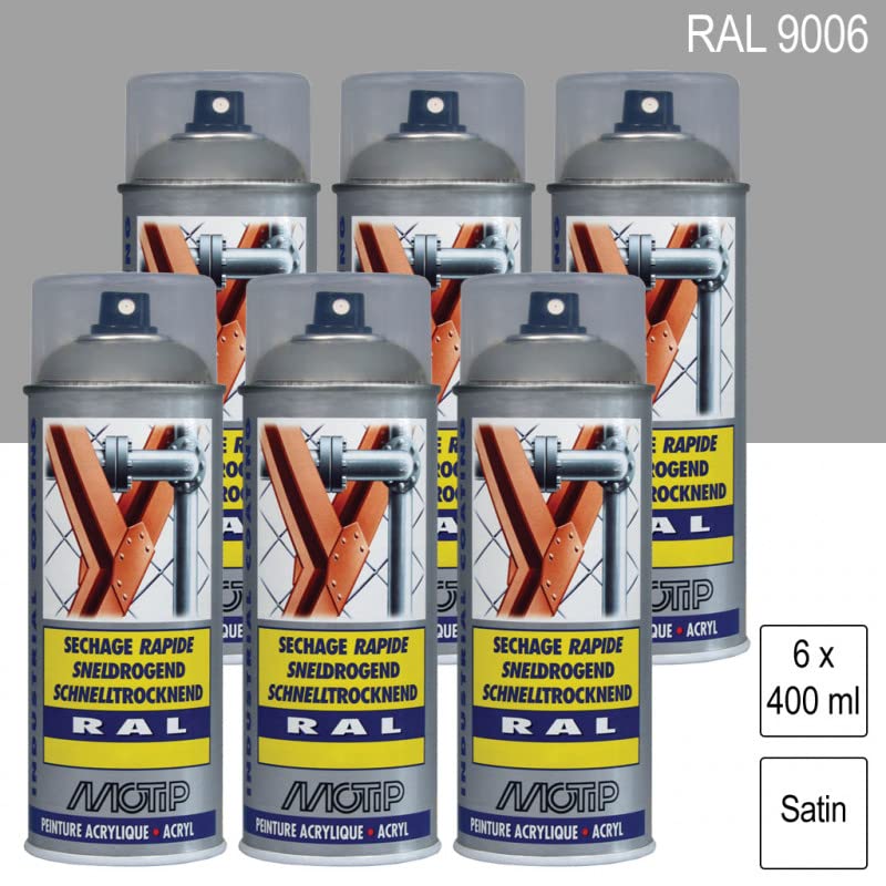 6 x Sprühfarbe RAL 9006 Aluminium weiß satiniert 400 ml MOTIP Books