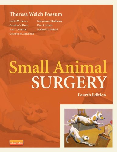 Small Animal Surgery Medicine