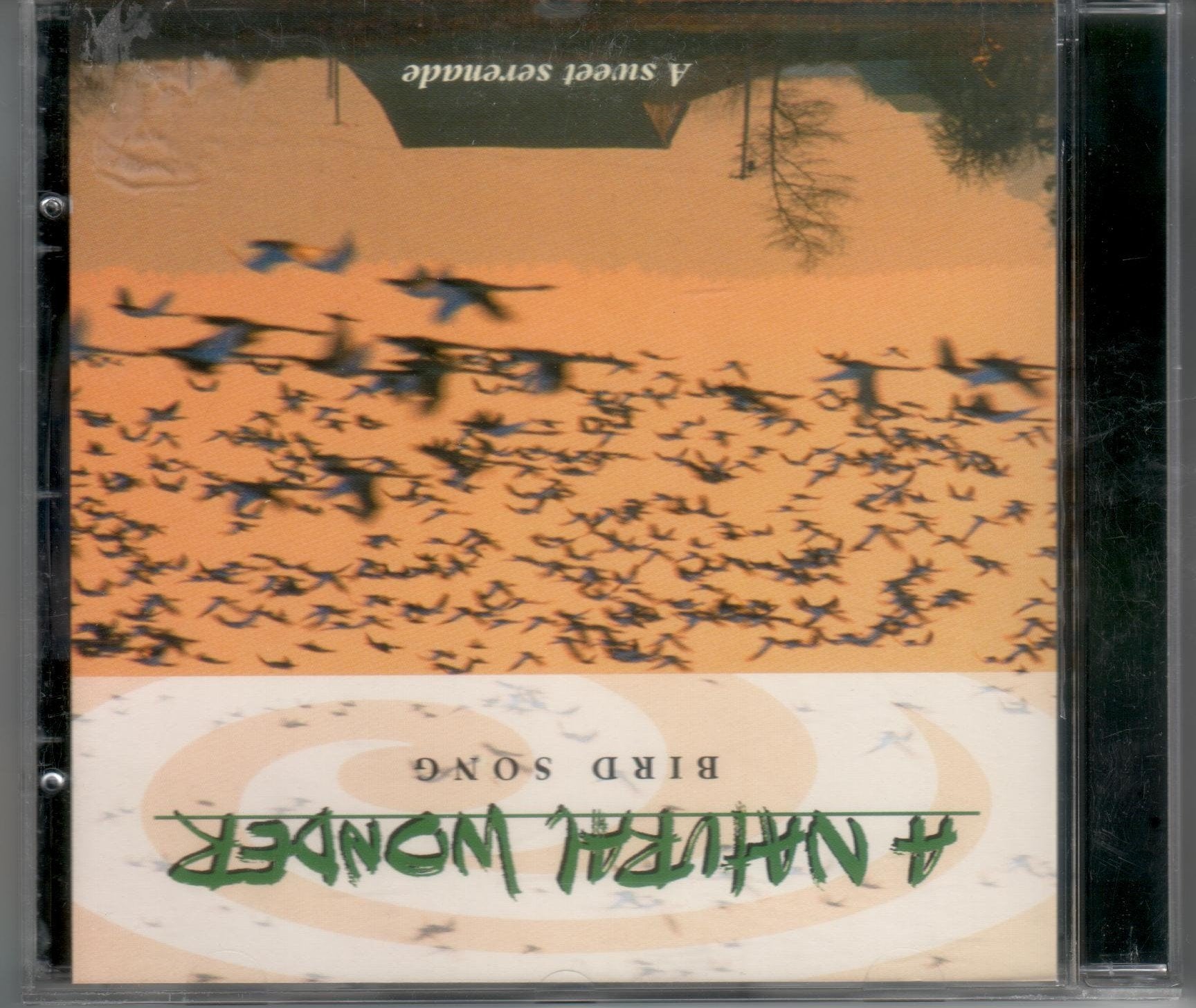 Bird Song Music