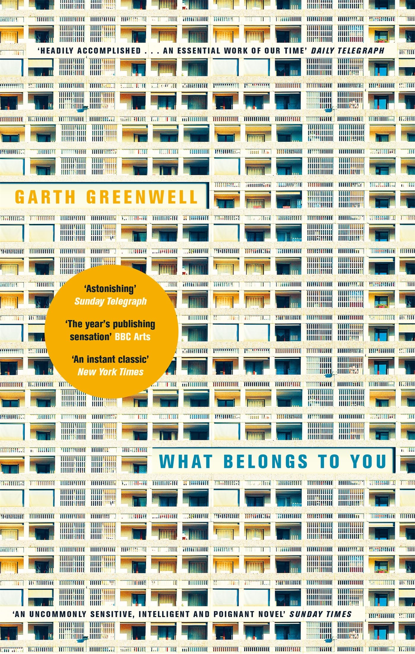 What Belongs to You Contemporary literature