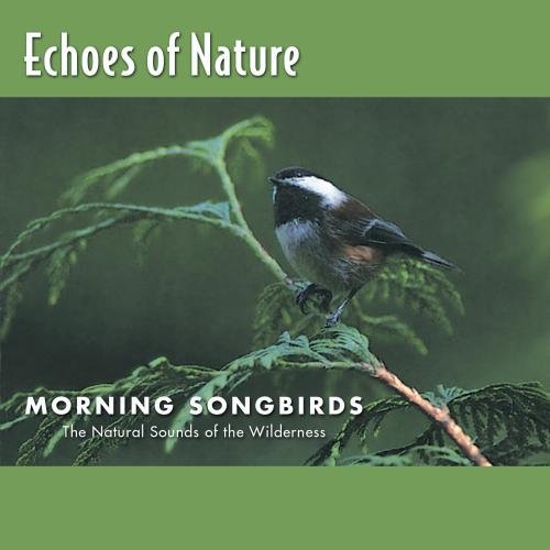 Echoes of Nature: Morning Songbirds Music