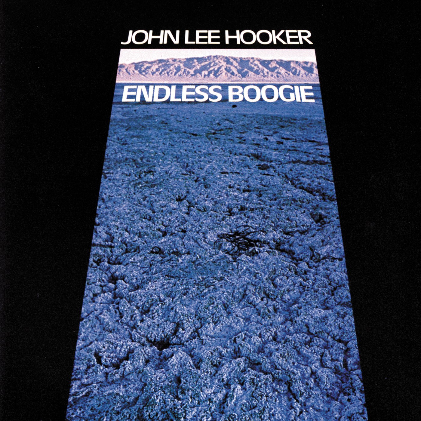 Endless Boogie Blues
