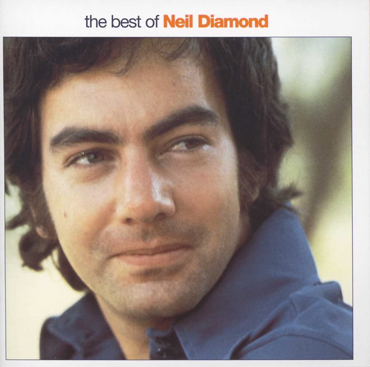 The Best Of Neil Diamond Other music genres