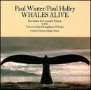 Whales Alive Music