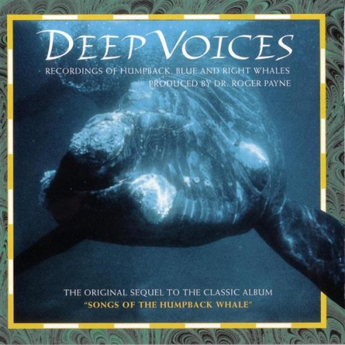 Deep Voices: Songs of Humpback Whale Music