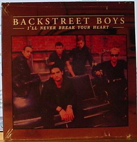 Product Image: I'll Never Break Your Heart (UK Import)