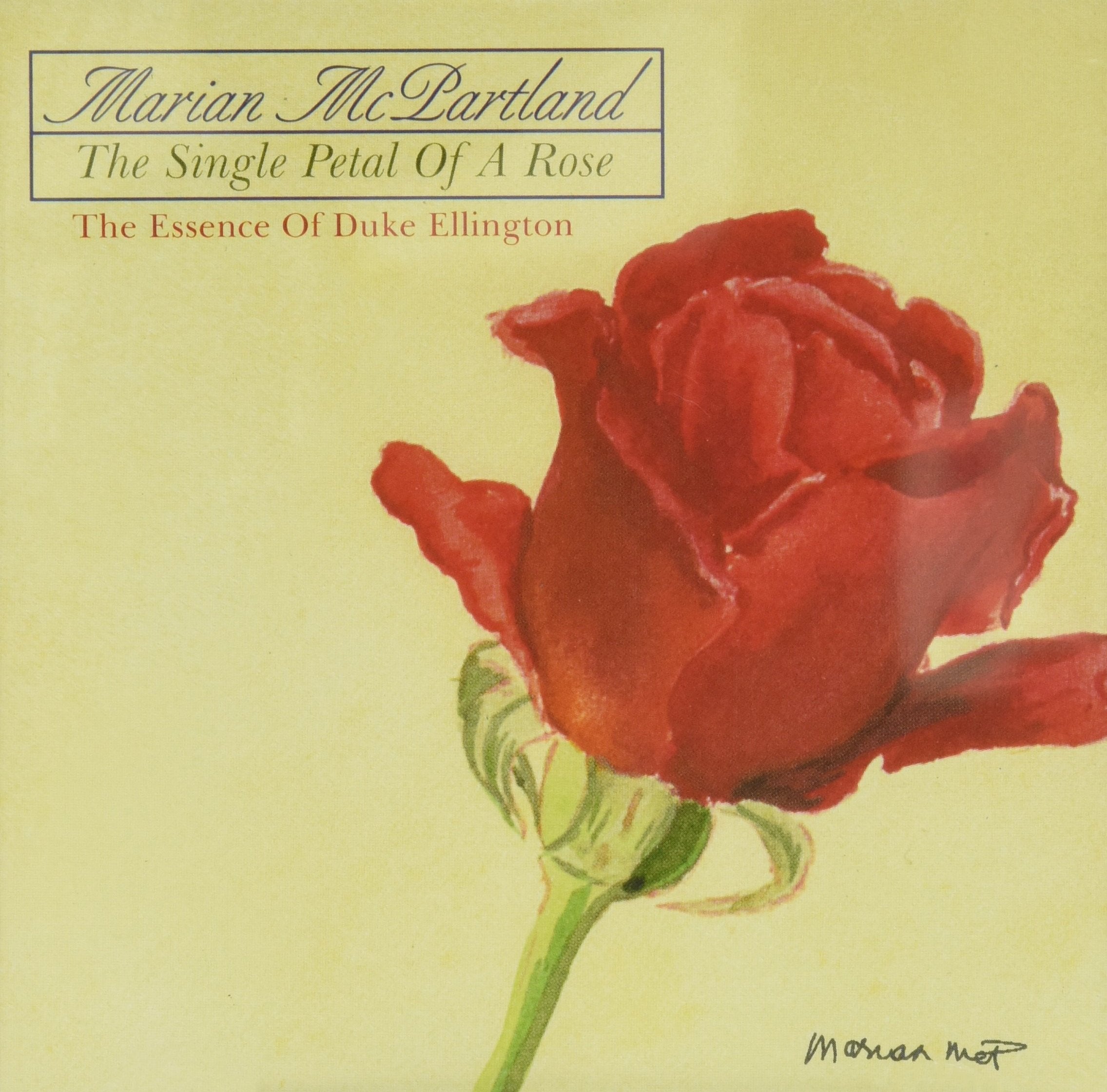Single Petal of a Rose Jazz