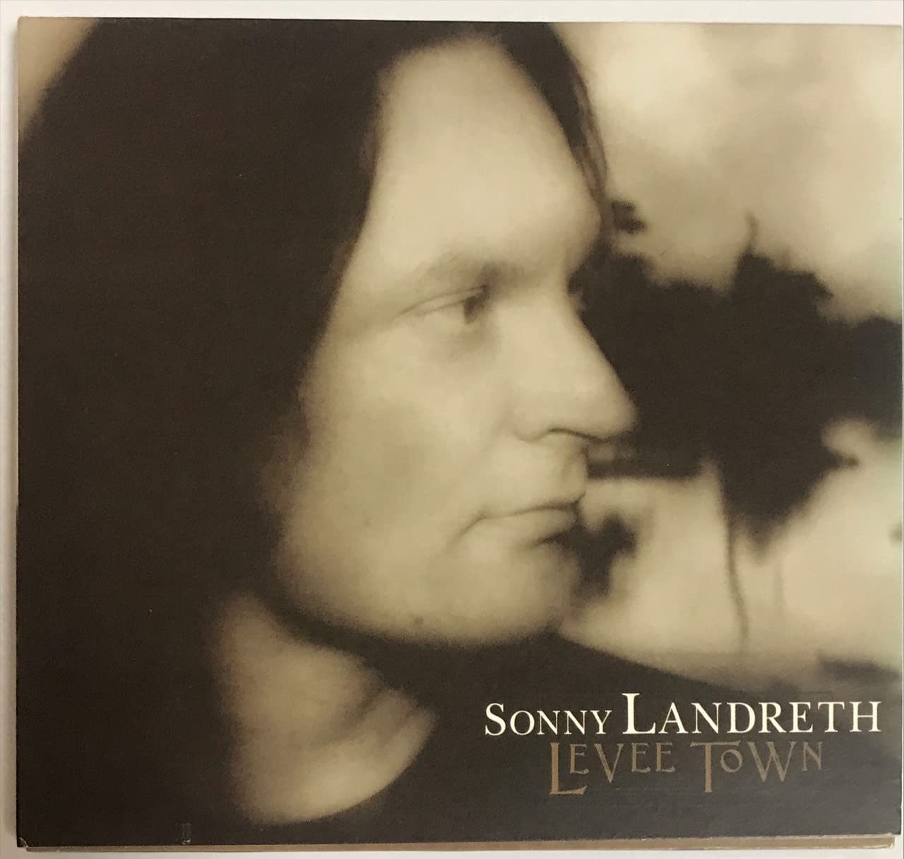 Product Image: Levee Town