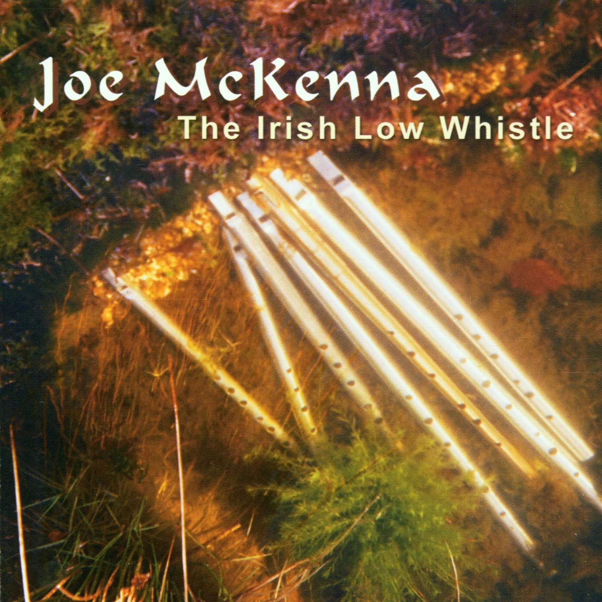 The Irish Low Whistle Pop