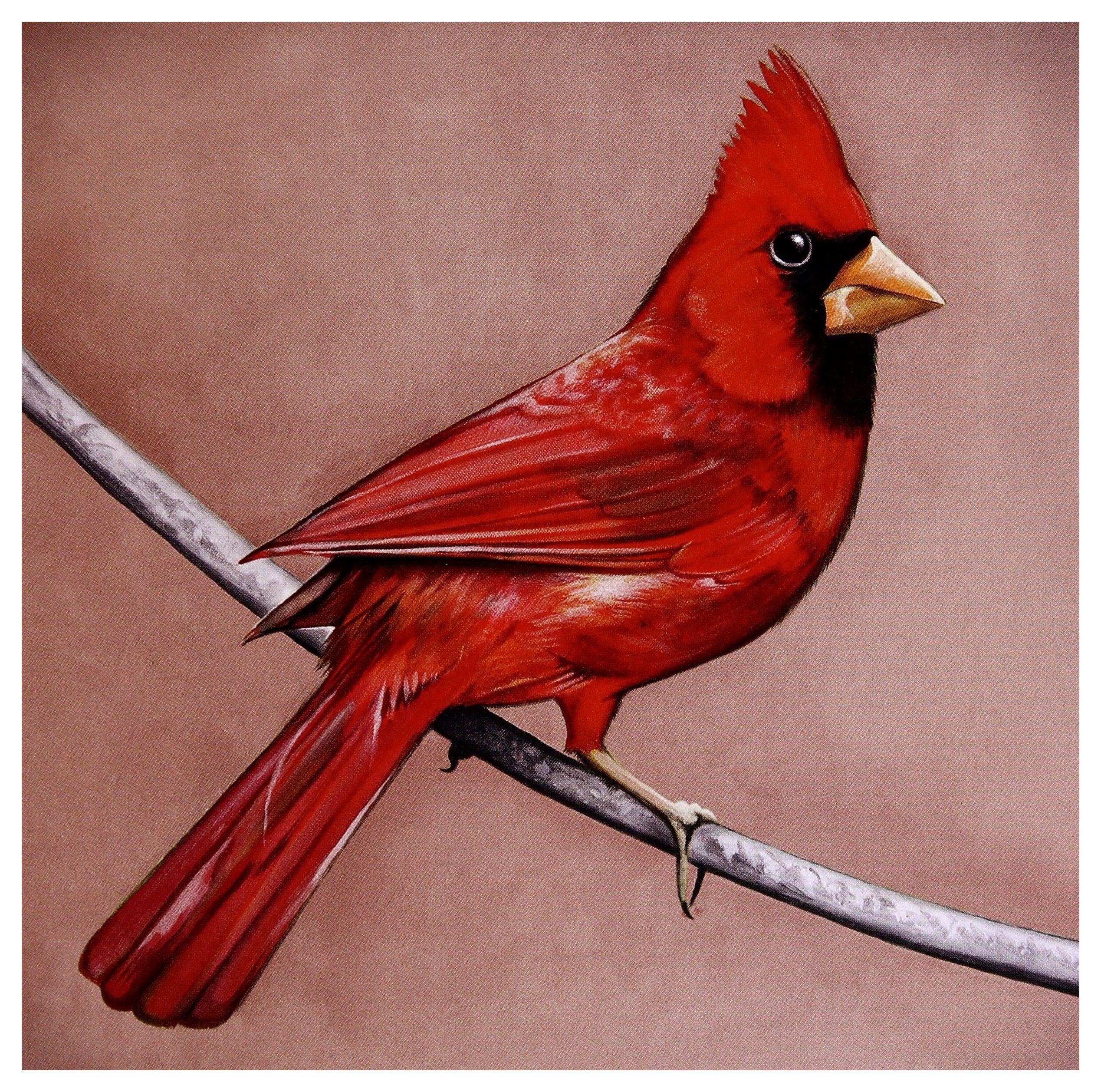 Product Image: Old Crows/Young Cardinals