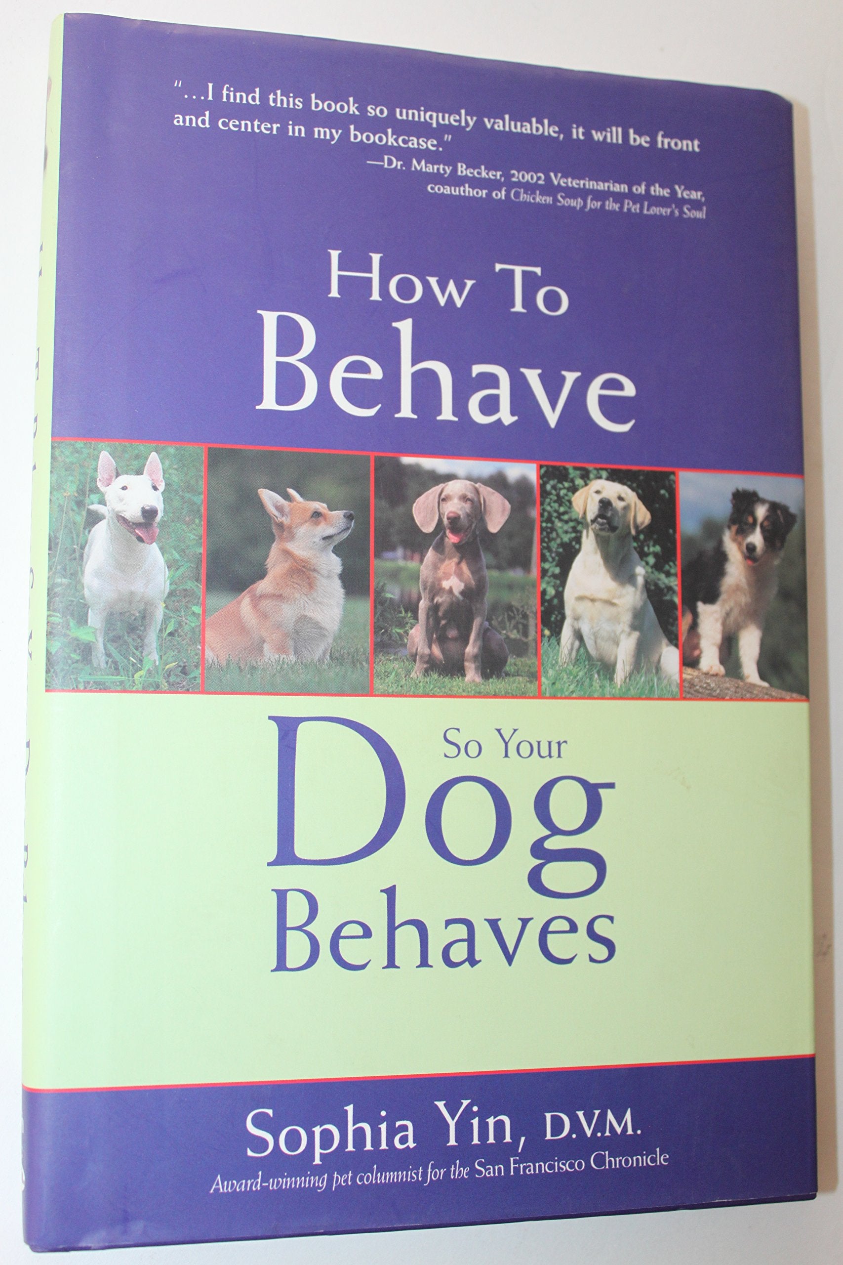 How to Behave So Your Dog Behaves Pets