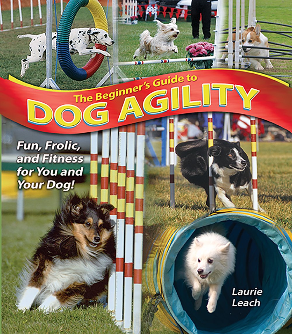 The Beginner's Guide to Dog Agility Pets