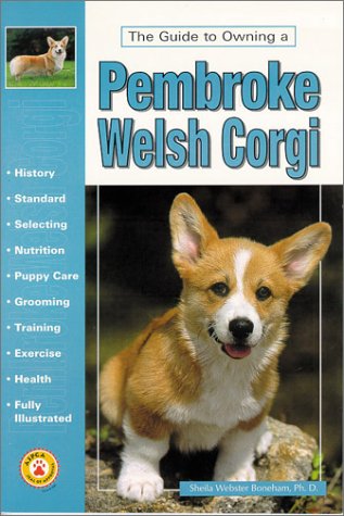 The Guide to Owning a Pembroke Welsh Corgi Pets