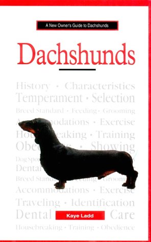 A New Owner's Guide to Dachshunds Pets