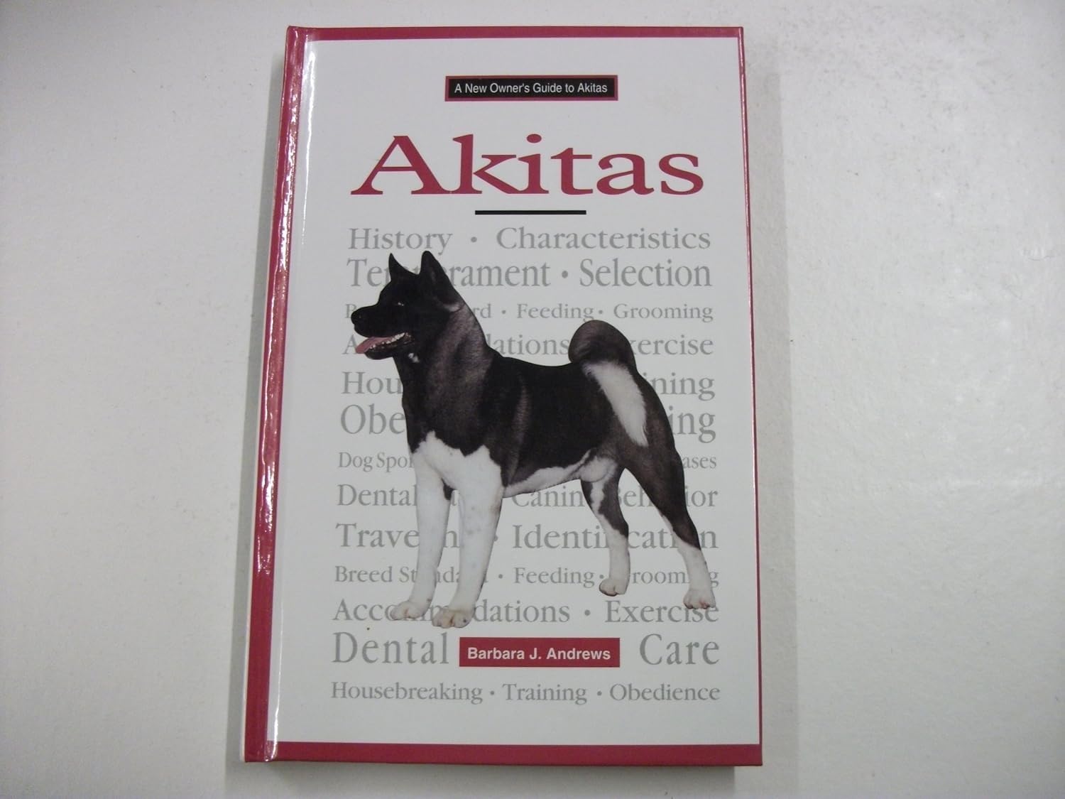 A New Owner's Guide to Akitas Pets