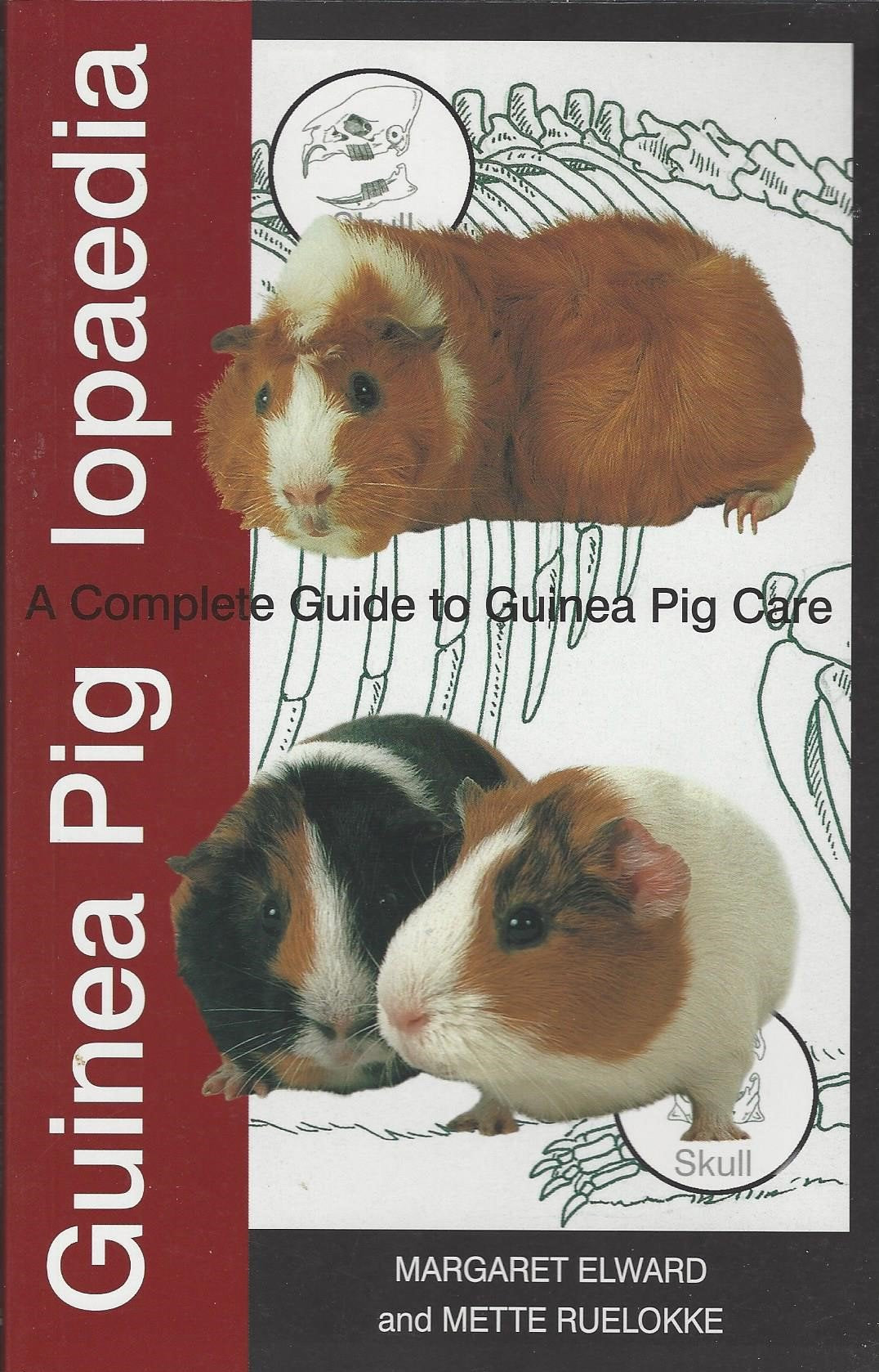 Proper Care of Guinea Pigs (Proper Care Of...Series) Pets