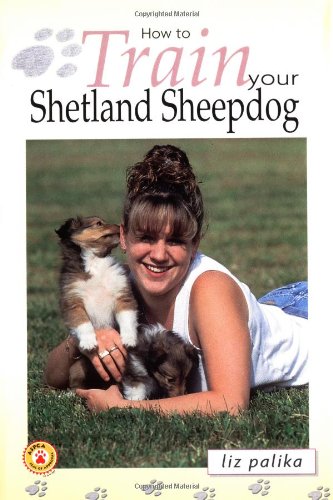 How to Train Your Shetland Sheepdog Pets