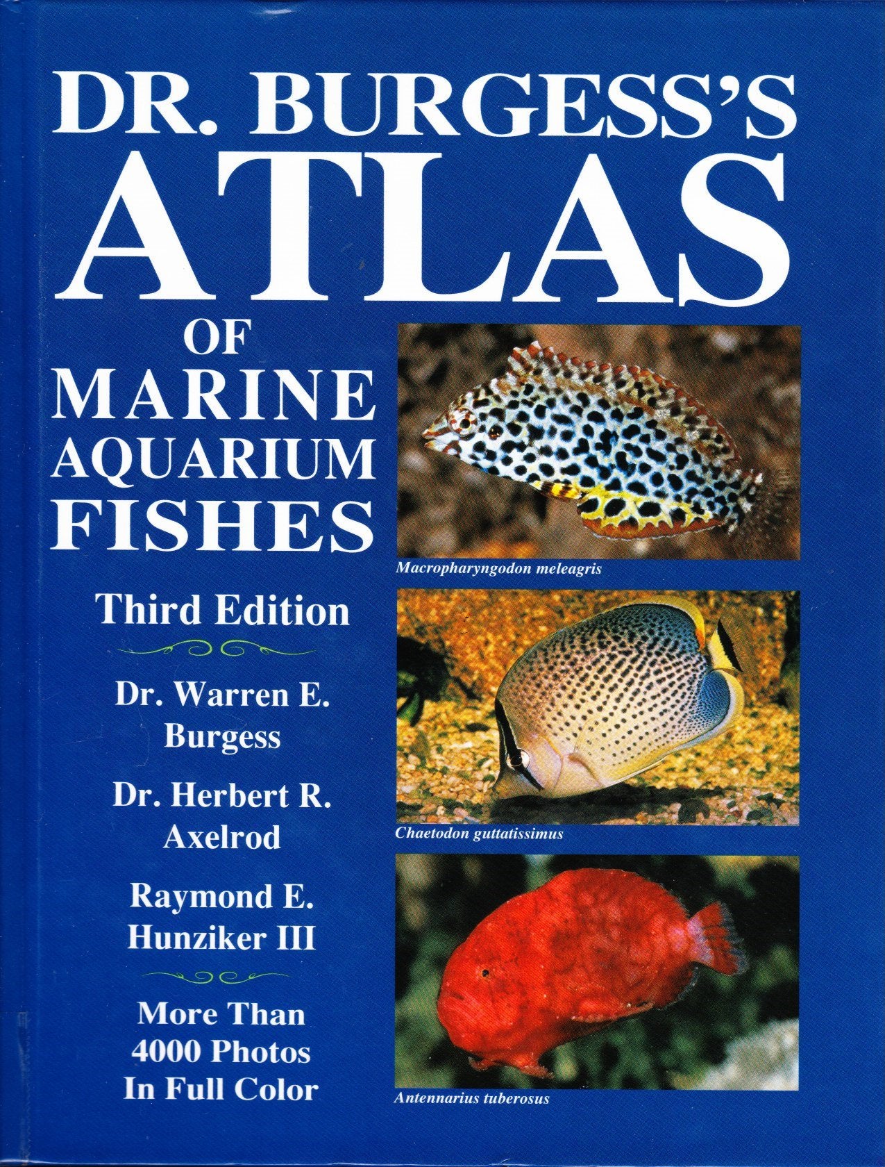 Dr Burgess's Atlas of Marine Aquarium Fishes Pets