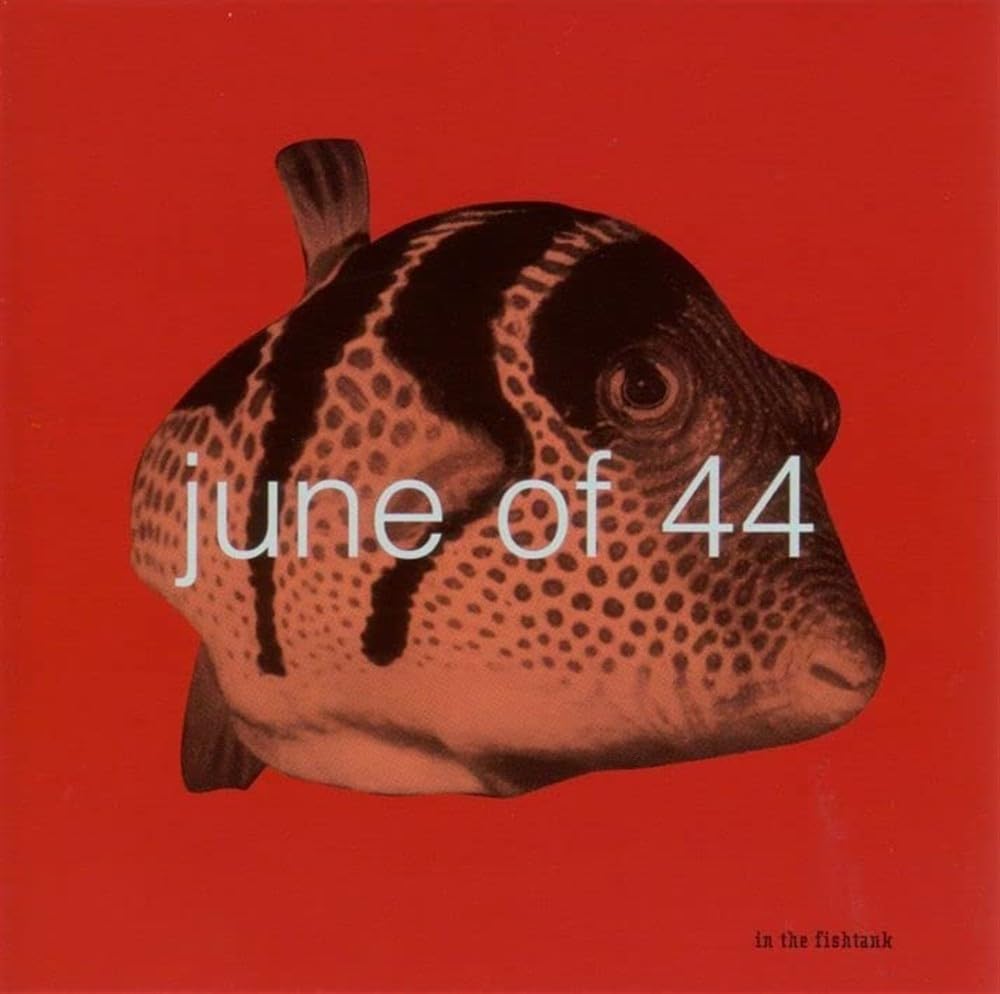In the Fishtank 6 Alternative & Indie