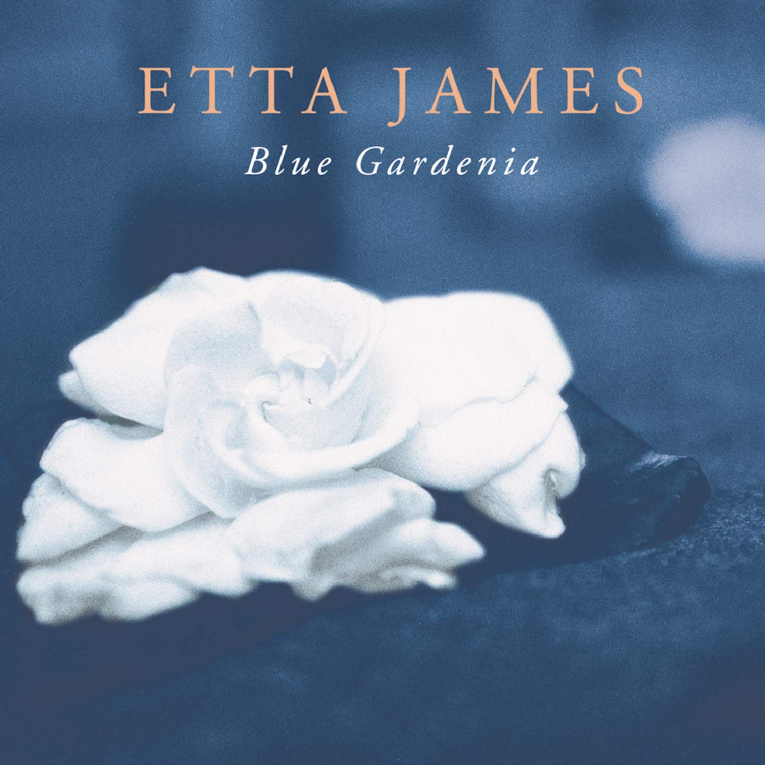 Blue Gardenia Blues