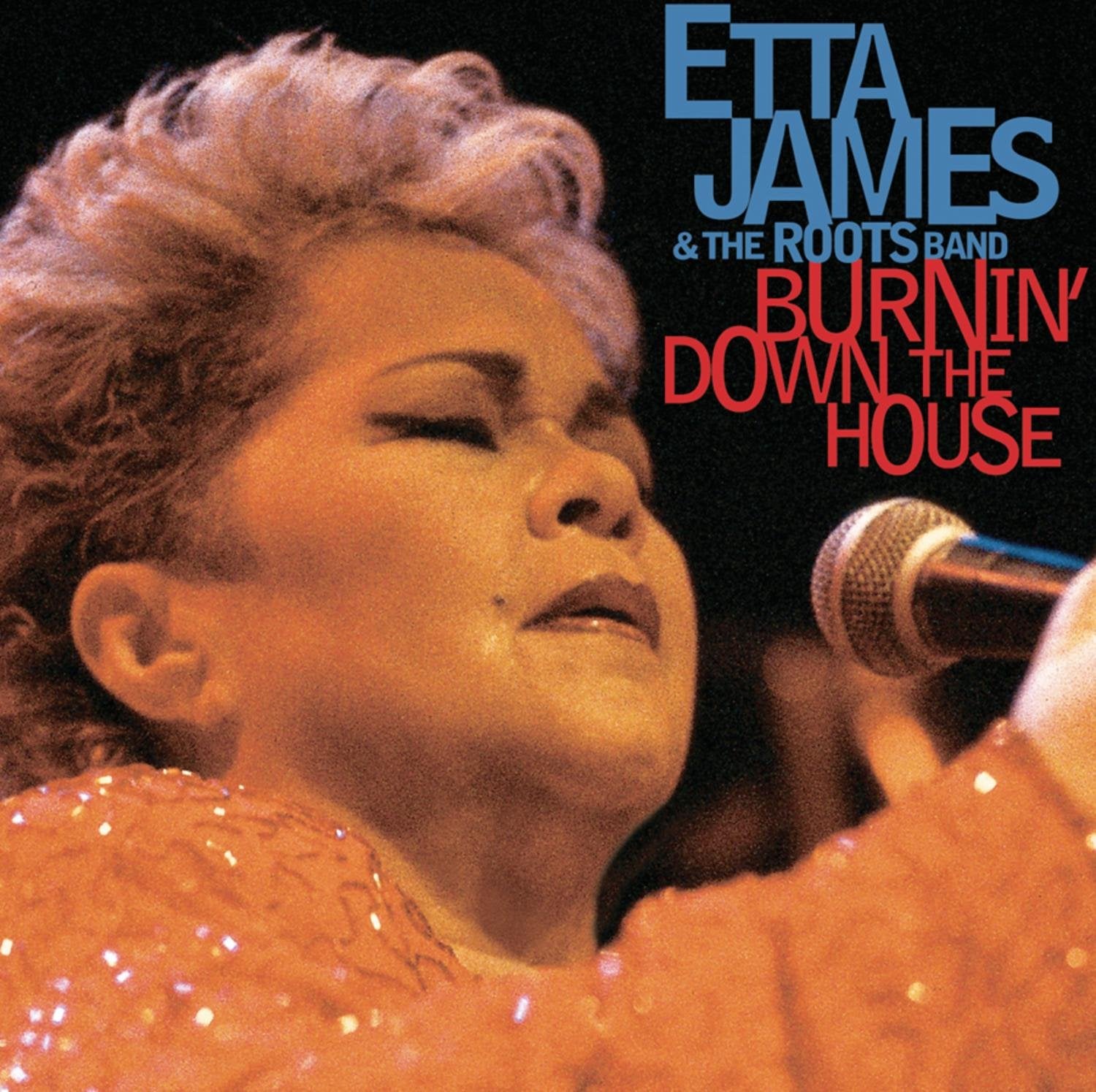 Product Image: Burnin' Down the House