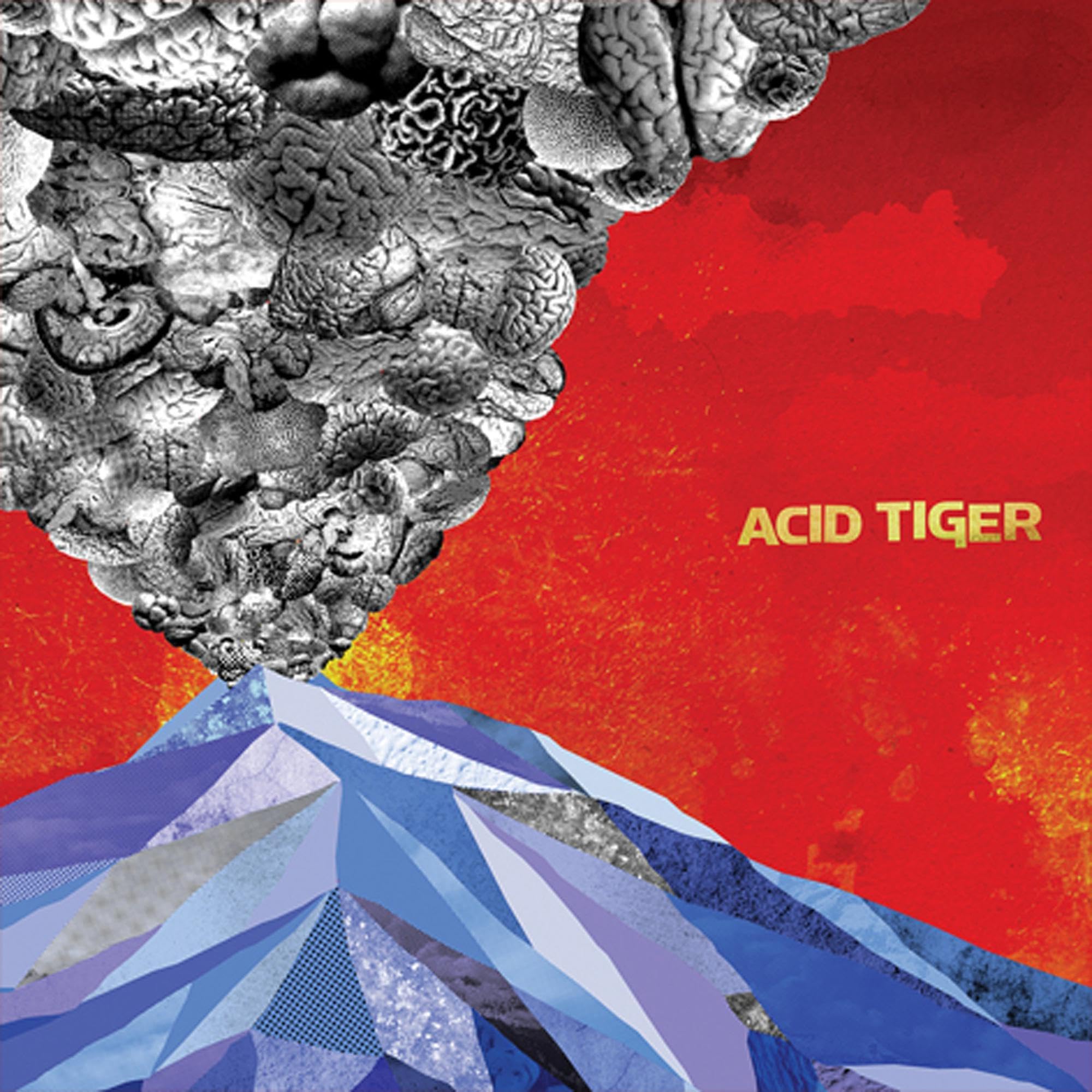 Acid Tiger - Acid Tiger Metal & Hardrock