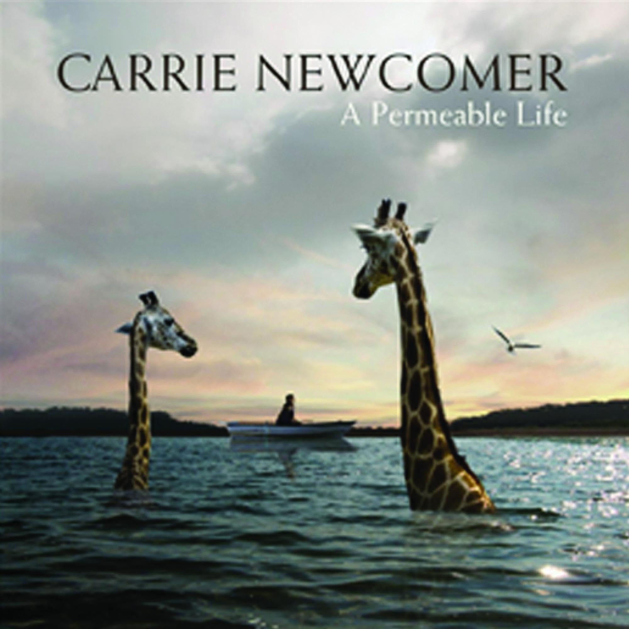 A Permeable Life Country & Folk