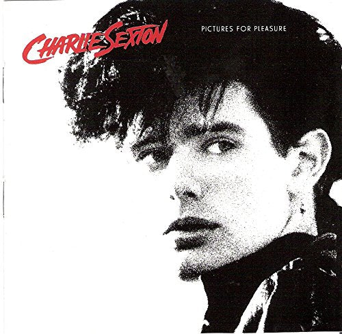 Pictures for pleasure (1985) Music