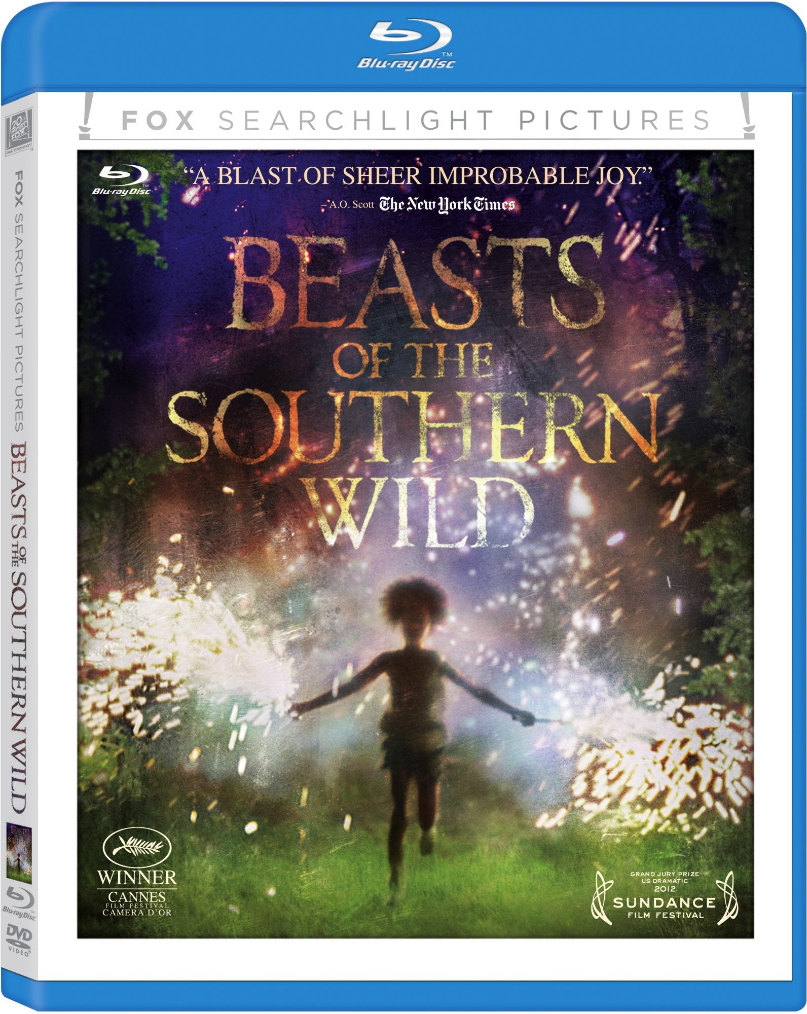 Beasts of The Southern Wild/ dvd