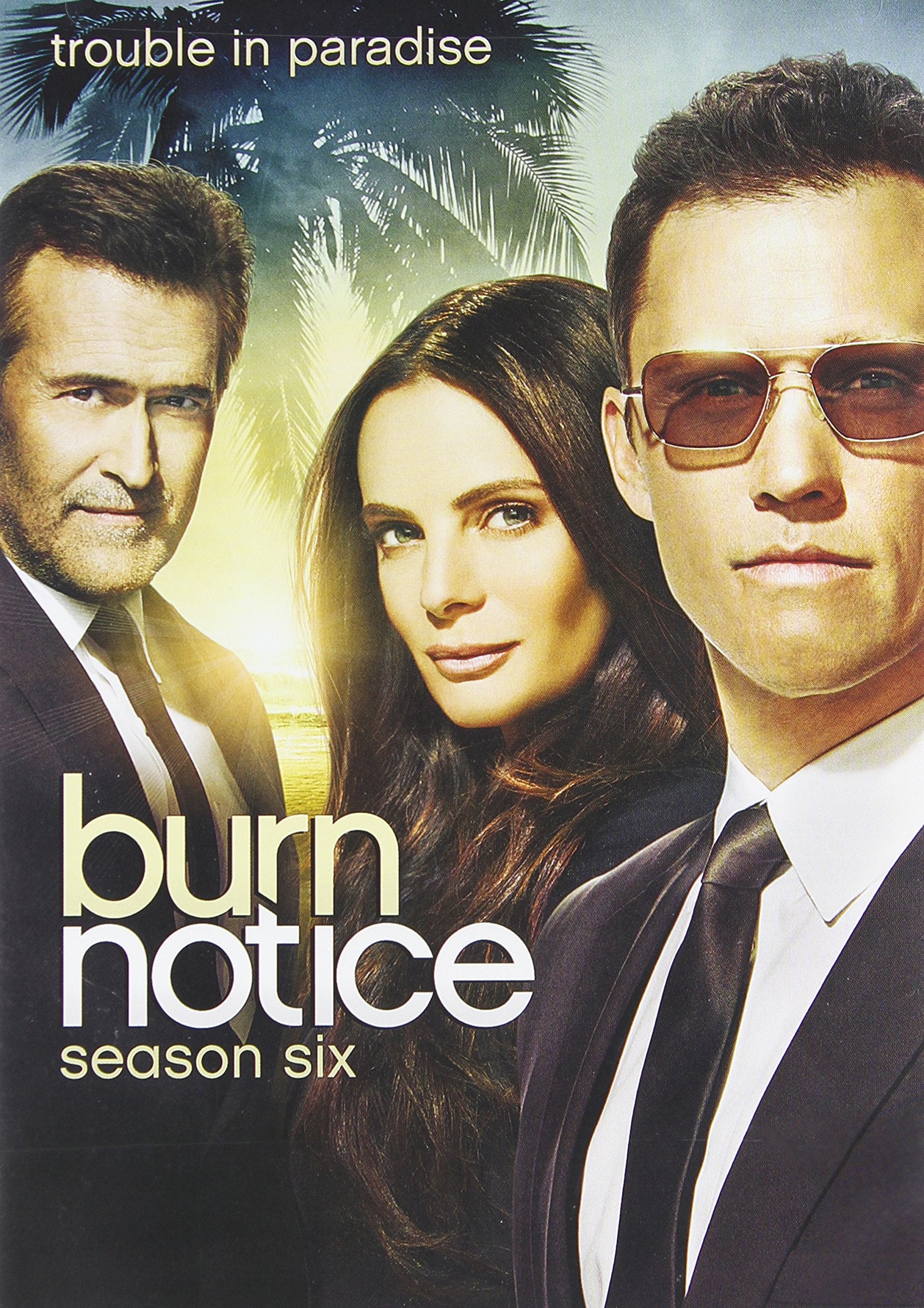 Burn Notice: Season 6 (4pc) / (Ws Ac3 Dol Box) Box sets