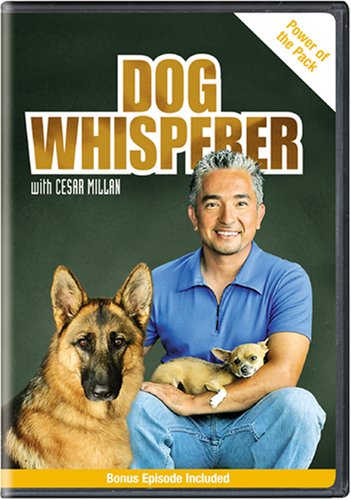 Dog Whisperer With Cesar Millan: Power of the Pack Films