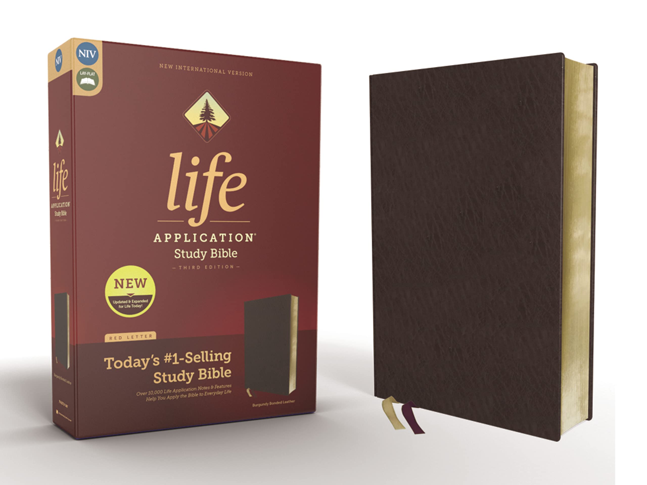 NIV, Life Application Study Bible, Third Edition, Bonded Leather, Burgundy, Red Letter Film, Art & Culture