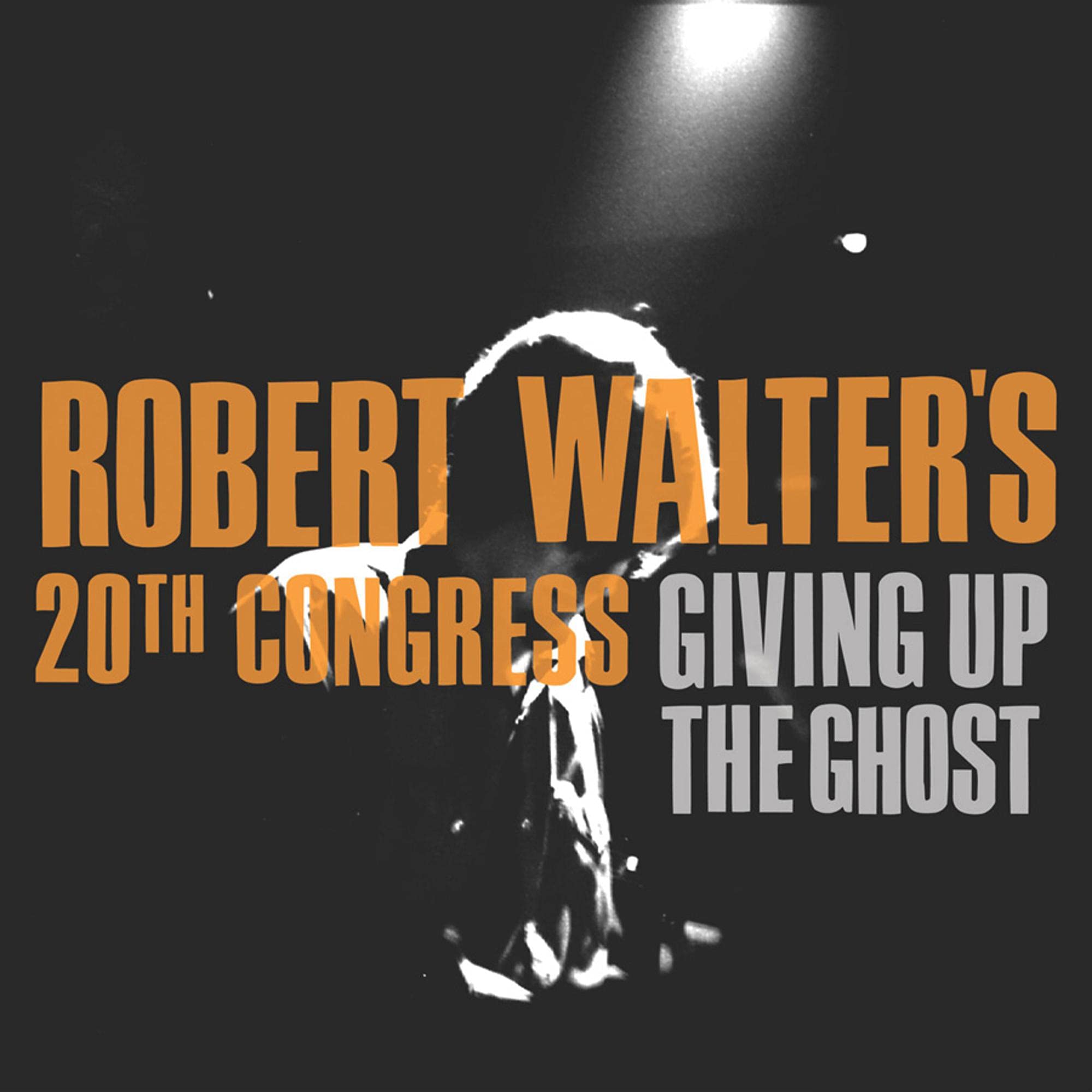 Product Image: Giving Up the Ghost