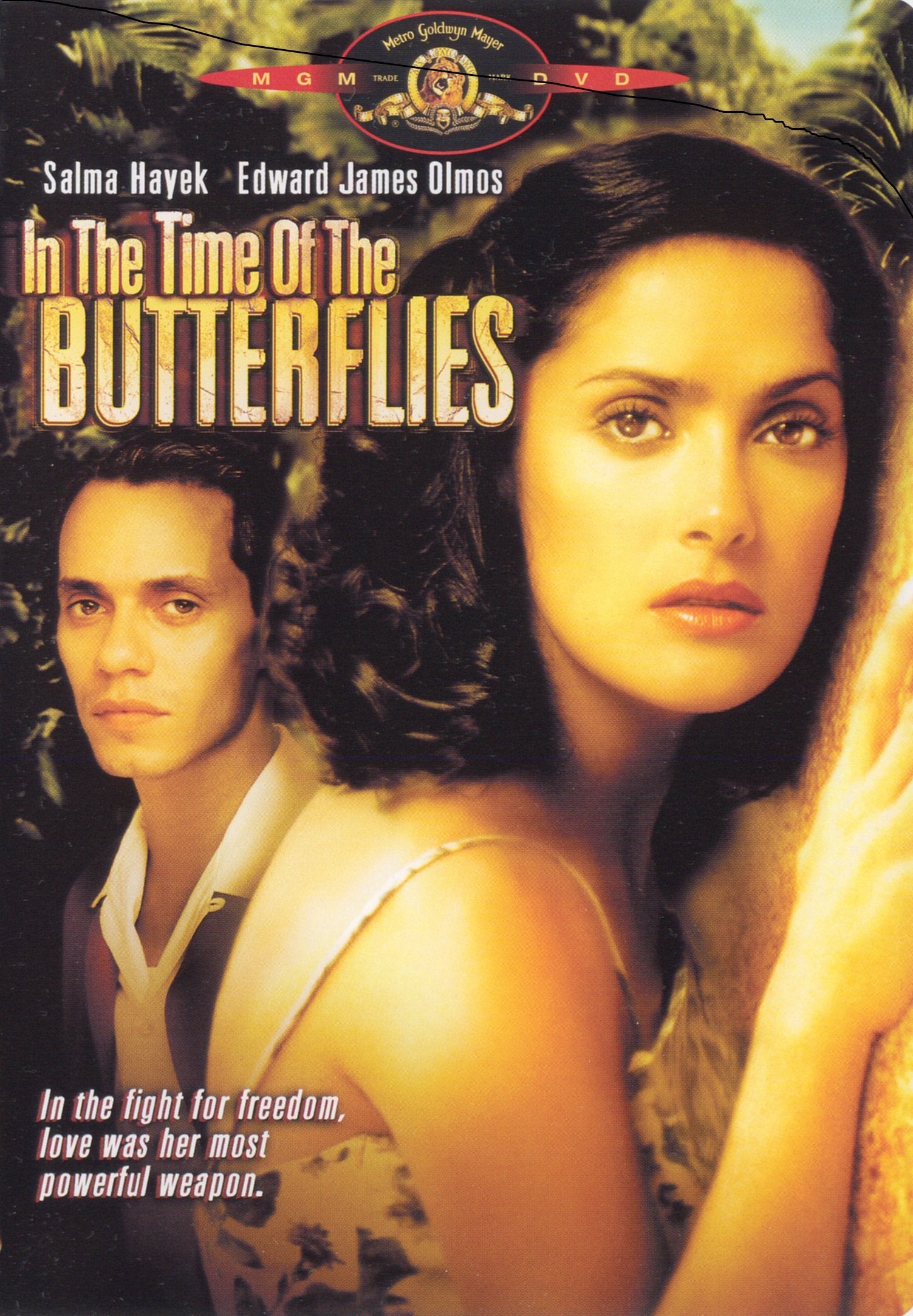 In the Time of the Butterflies Films