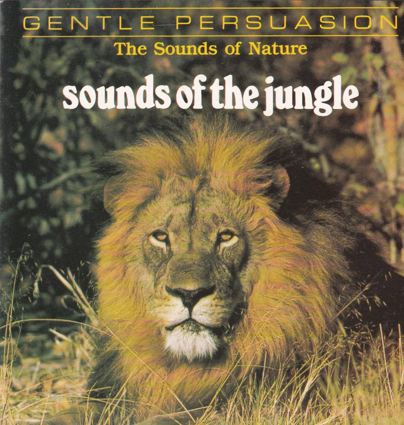 Product Image: Sounds of the jungle