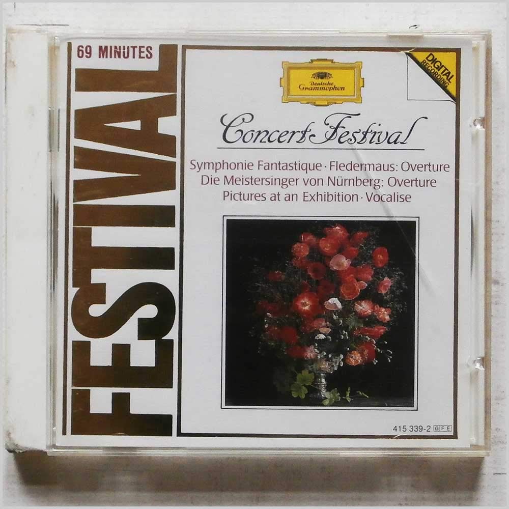 Concert Festival Music