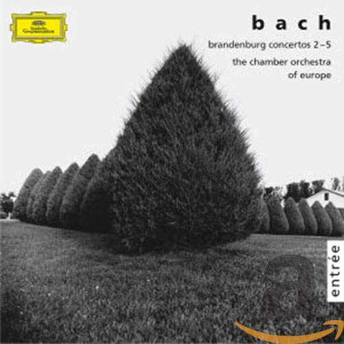 Concerti Brandeburghesi 2/5 cd