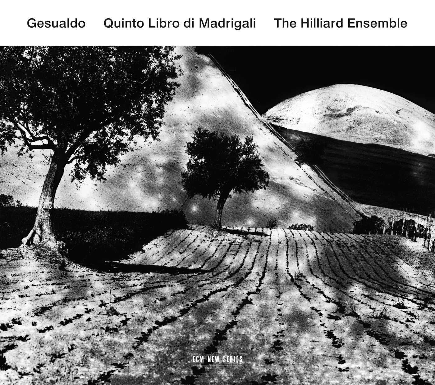 Product Image: Quinto Libro Di Madrigali