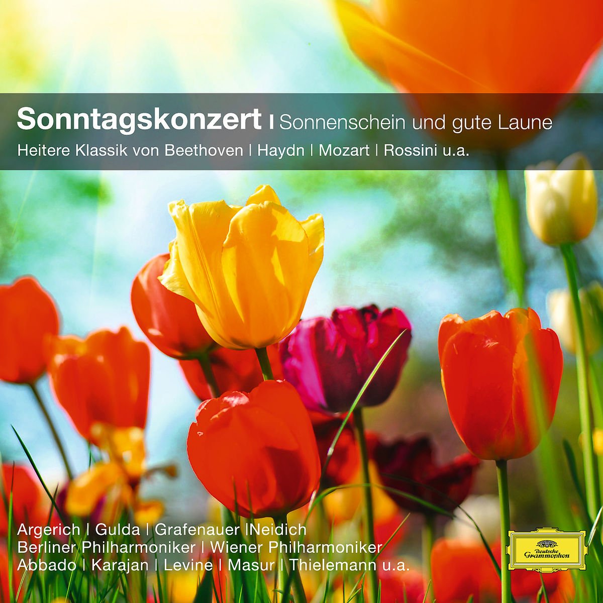 Sonntagskonzert-Heitere Klassik (CC) Music for Children