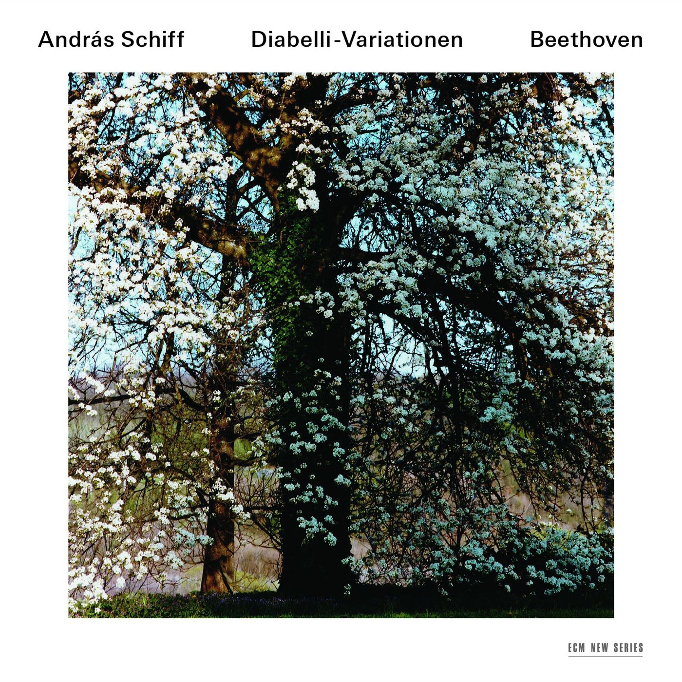 Diabelli-Variationen Classical