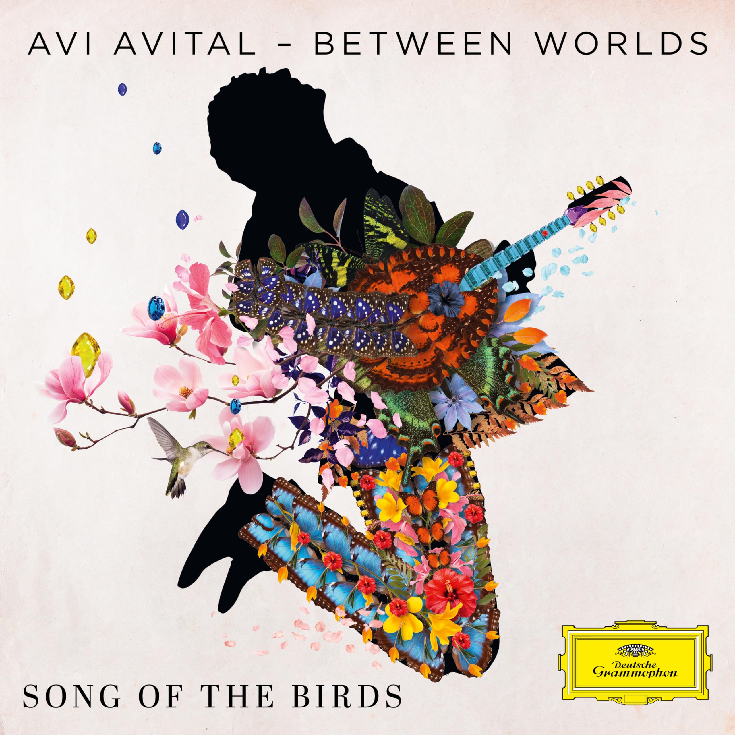 Song Of Birds Music