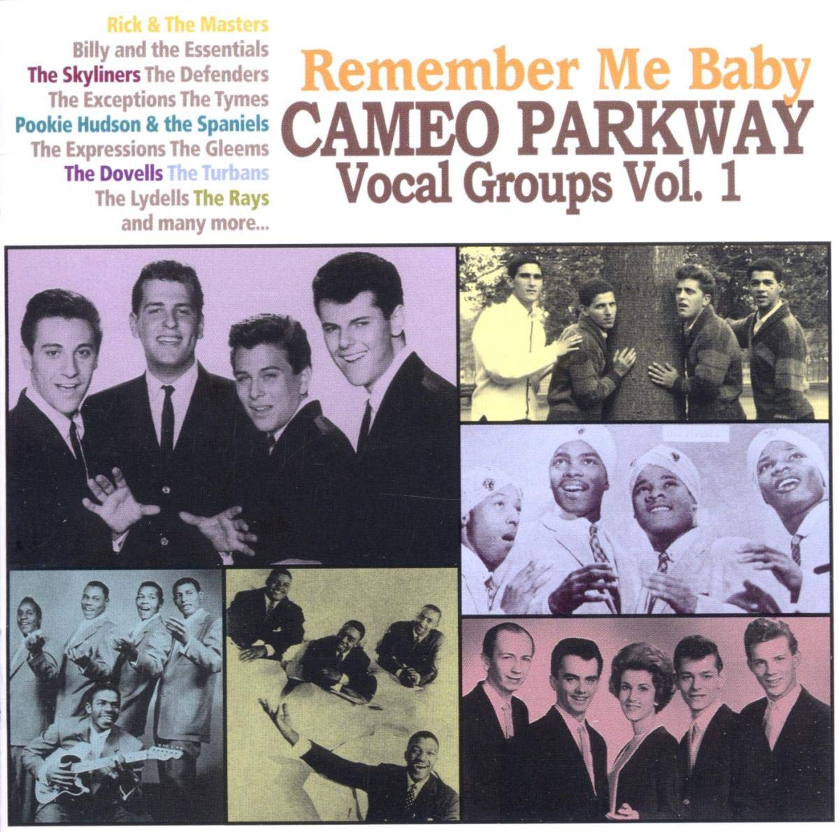 Remember Me Baby-Cameo Parkway Vocal Groups Vol. Pop
