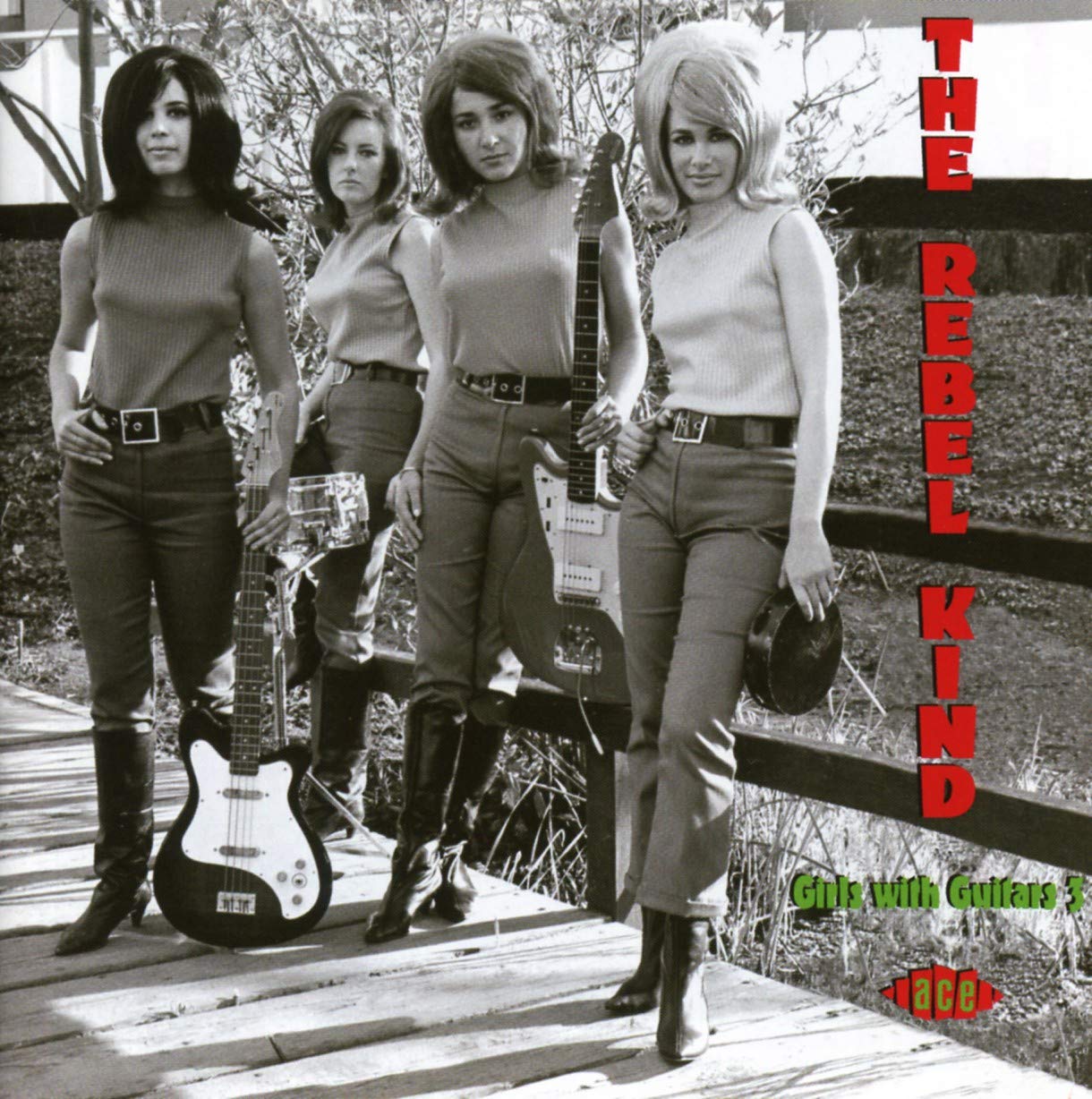 The Rebel Kind-Girls With Guitars 3 Alternative & Indie