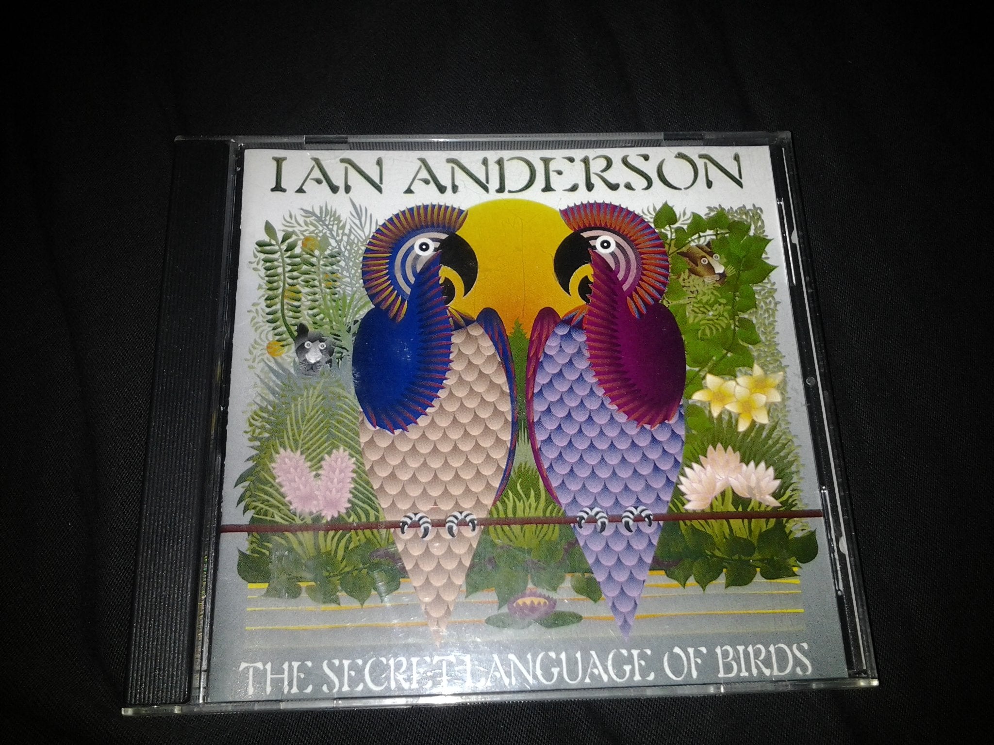 Secret Language of Birds Metal & Hardrock