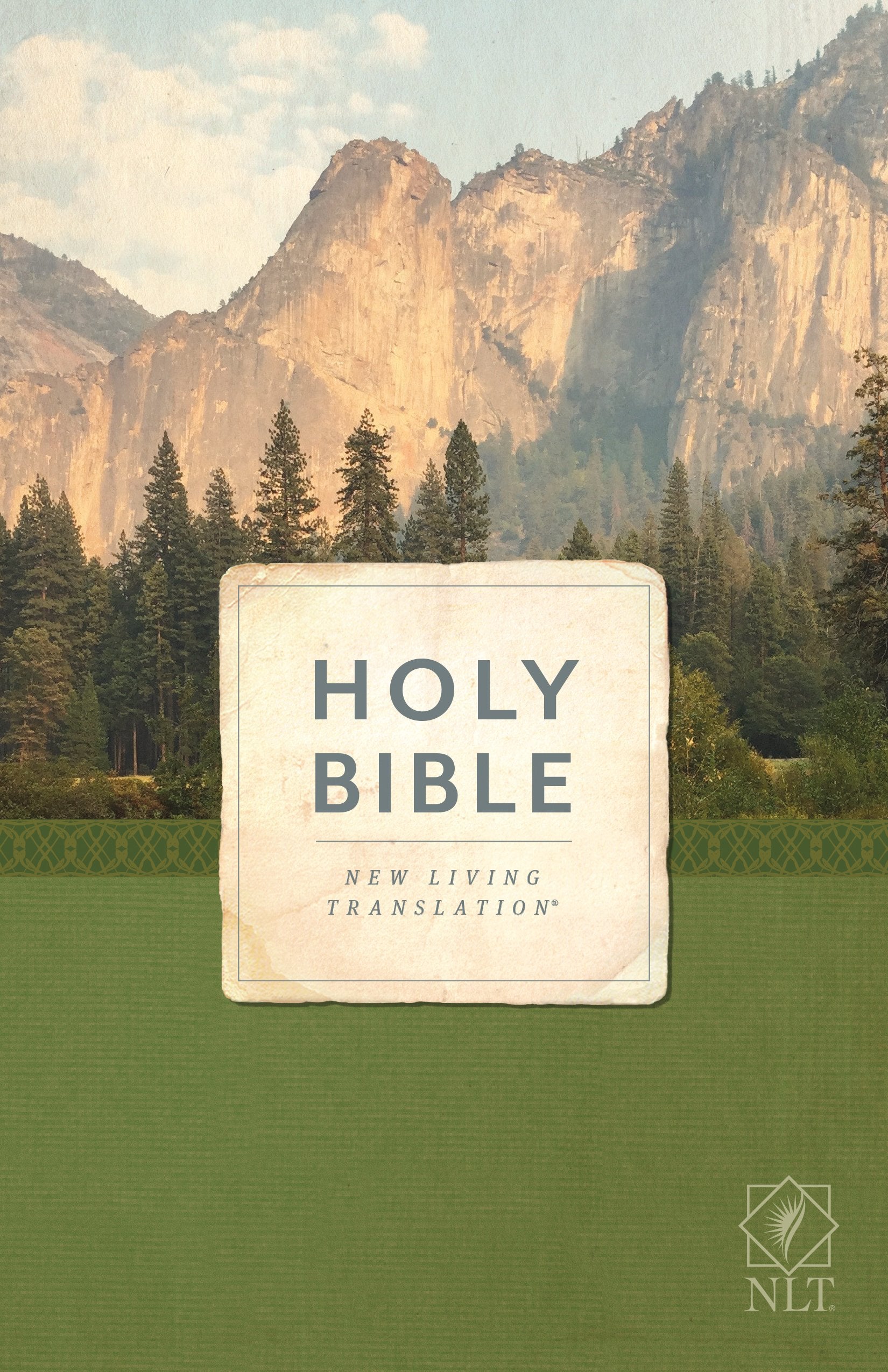 Holy Bible, Economy Outreach Edition, NLT (Softcover) Religion & Esotericism