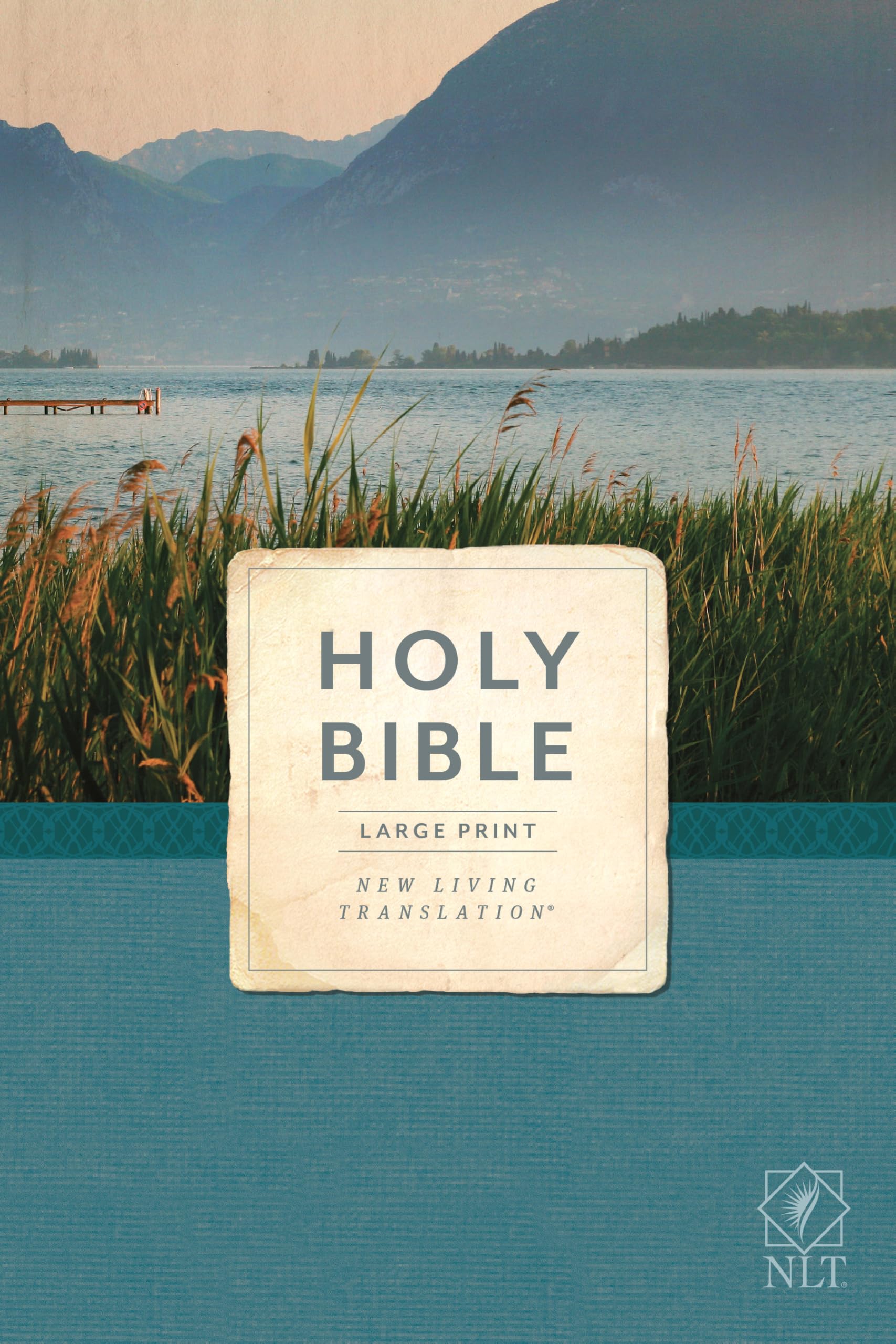 Holy Bible, Economy Outreach Edition, Large Print, NLT (Softcover) Religion & Esotericism