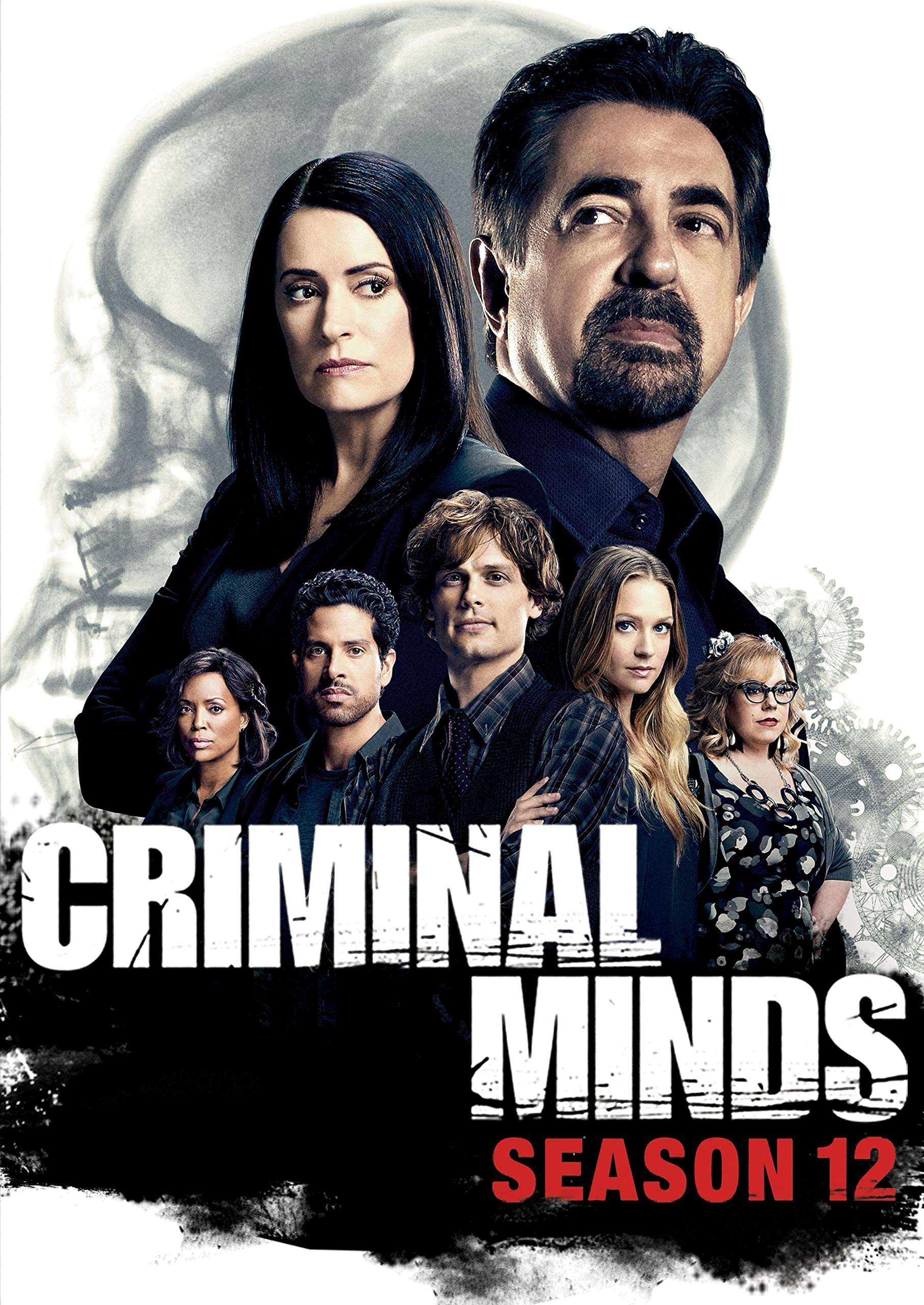 Criminal Minds: The Twelfth Season dvd