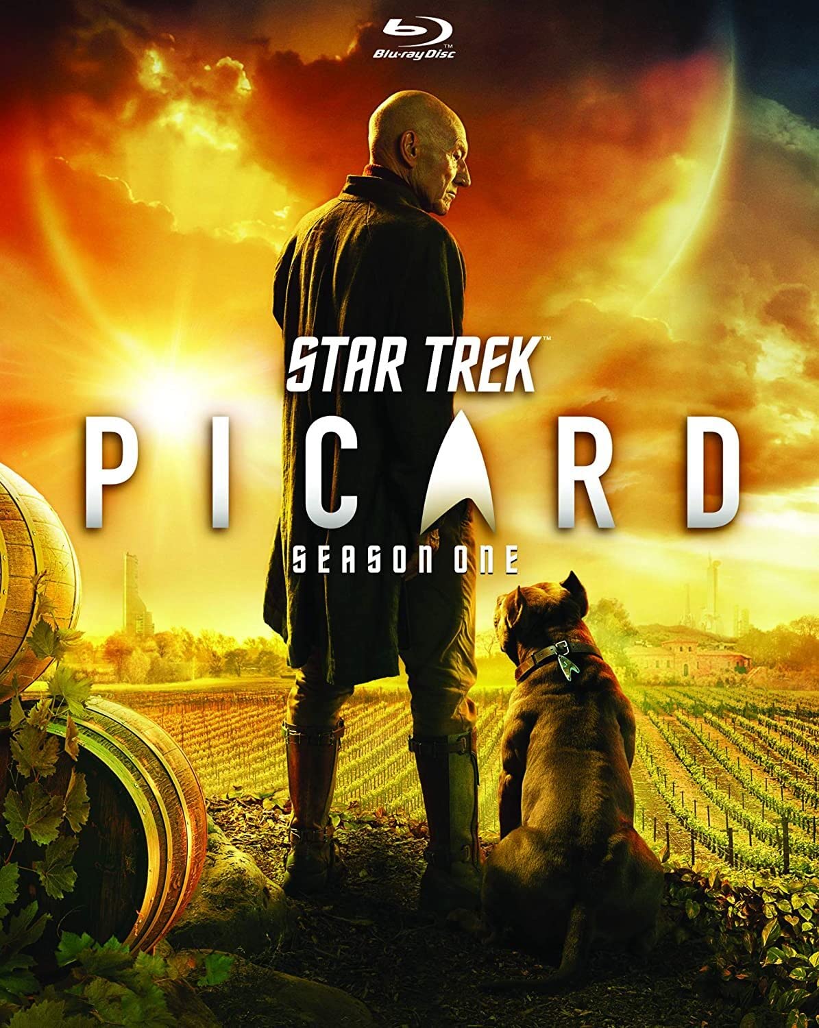 Star Trek: Picard: Season One dvd