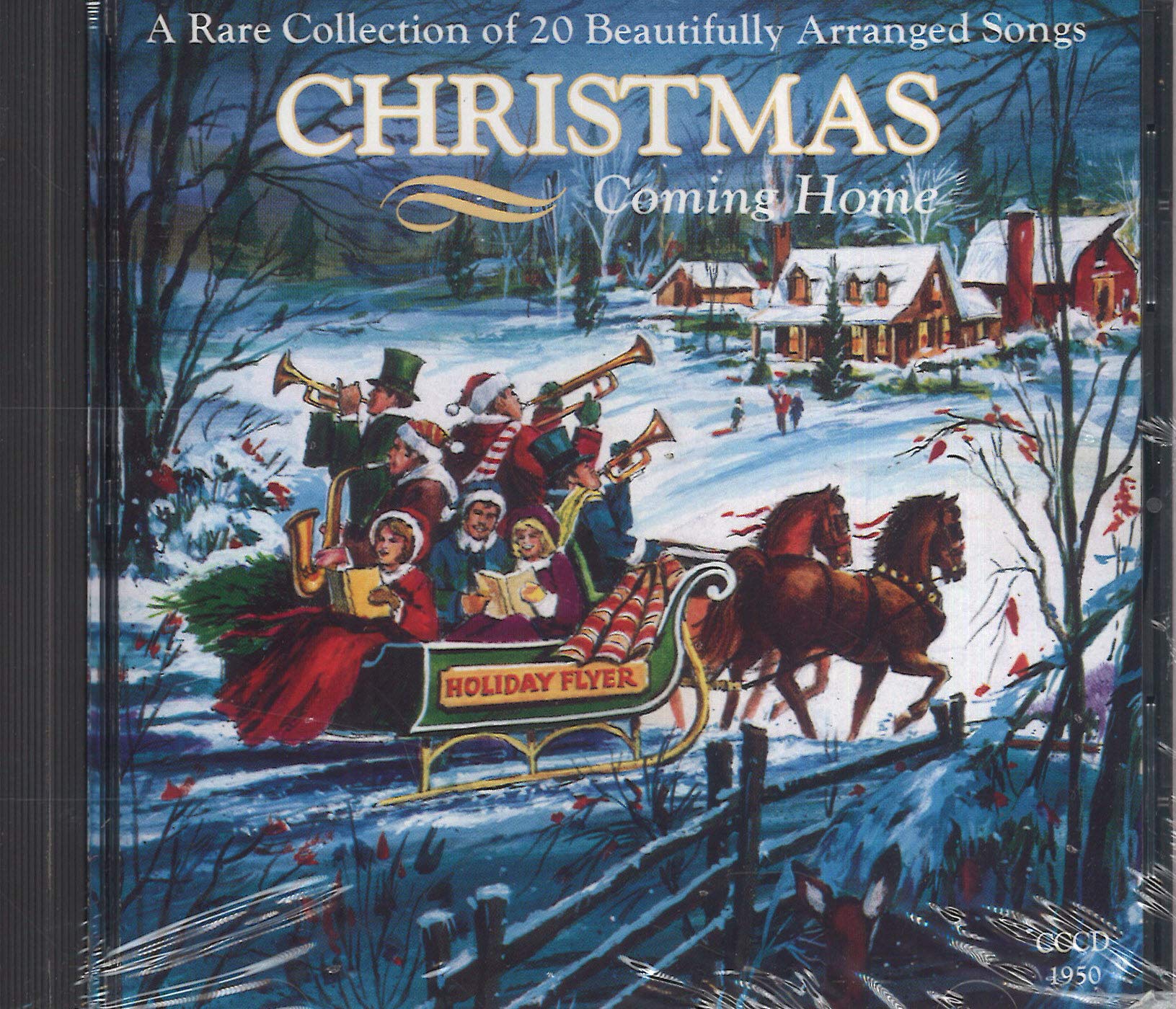 Product Image: Christmas Coming Home