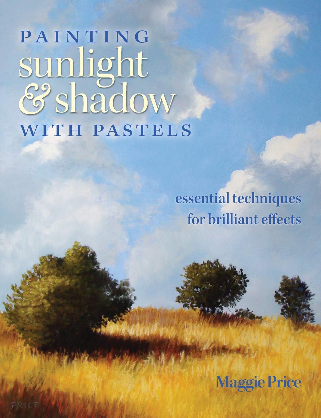 Painting Sunlight and Shadow with Pastels: Essential Techniques for Brilliant Effects Film, Art & Culture